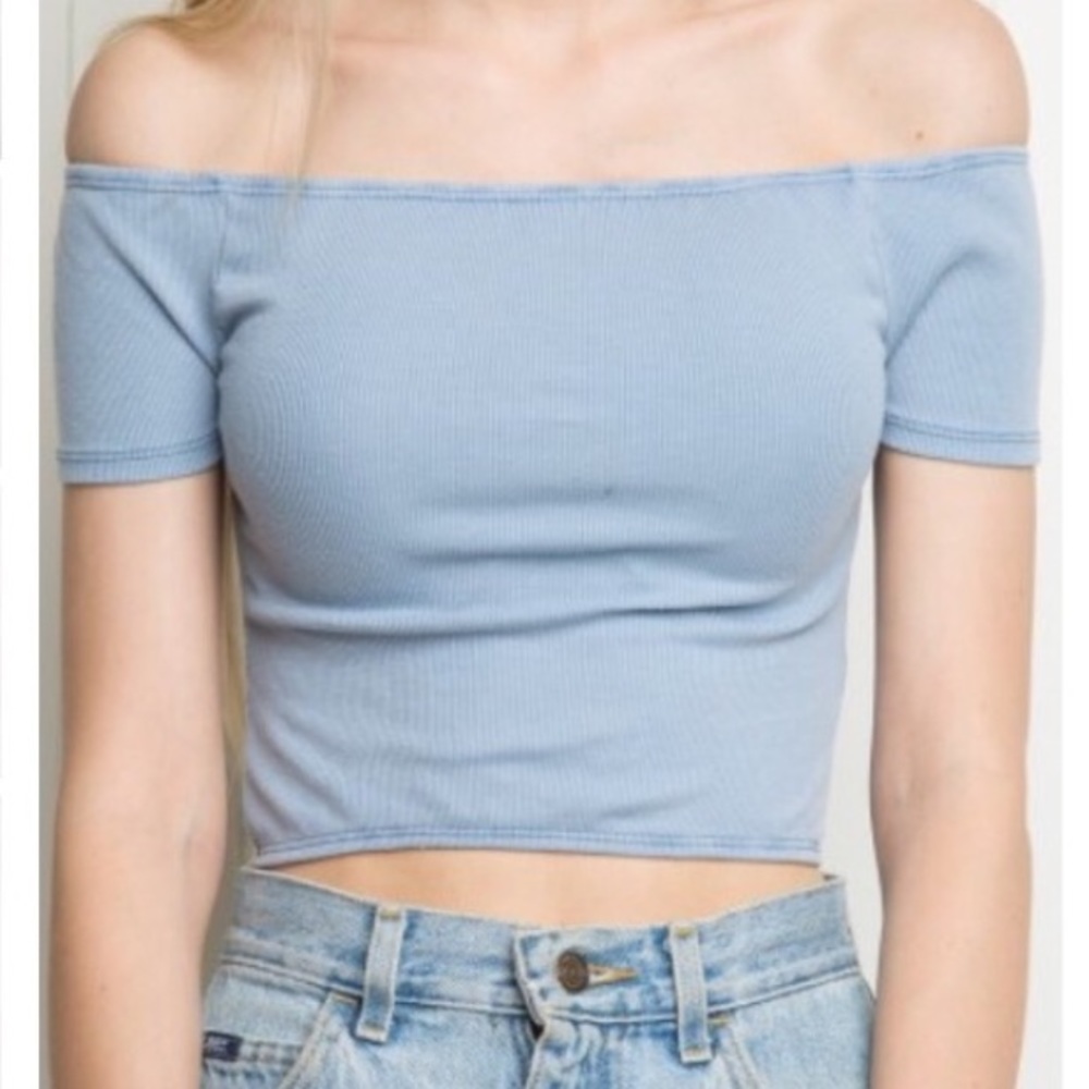Brandy Melville Crop Top